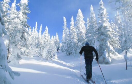Personne skie au Québec en hiver